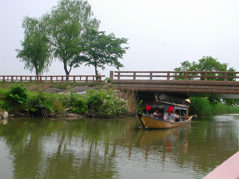日本三大水郷のひとつ近江八幡の水郷 暇なしbunbun