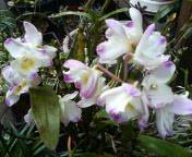 b0089492_20382364.jpg