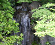 b0089492_2155483.jpg