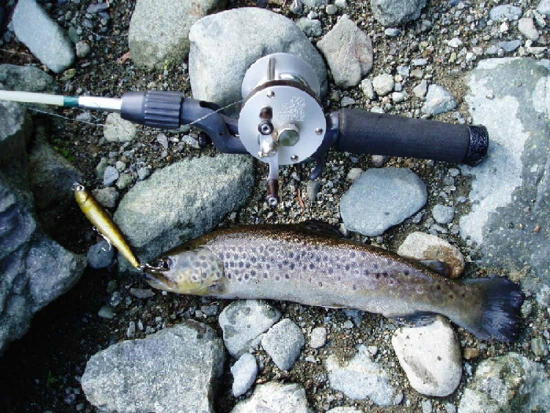 c0023804_12375564.jpg