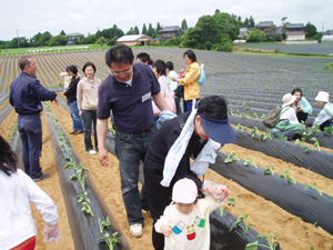 紅こがね苗植え会に行ってきました。　２００６年６月８日更新_b0076710_1811525.jpg