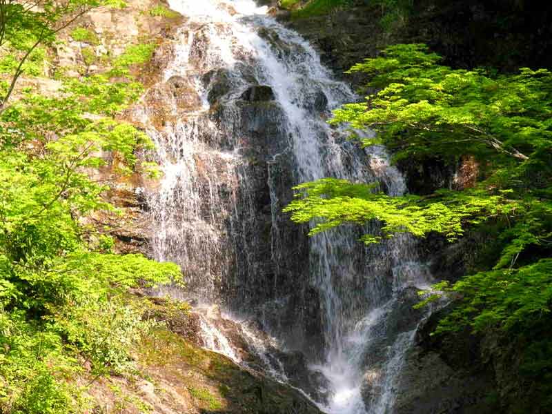 今朝１３度ちと寒い 2006 06 08 ドンが消えてから