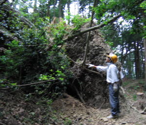 e0049740_17504188.jpg