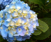 e0068042_16471387.jpg