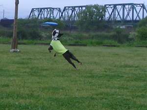 c0035443_985991.jpg