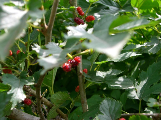 d0029756_14135954.jpg
