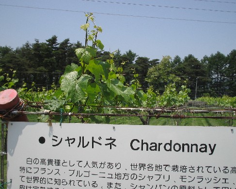 c0013687_21451543.jpg