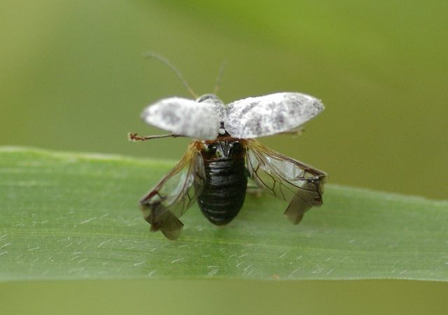 e0070891_2215972.jpg