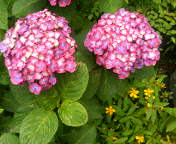 b0089492_17141615.jpg