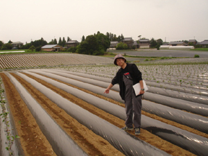 紅こがね苗植え会に行ってきました。　２００６年６月８日更新_b0076710_16155626.jpg