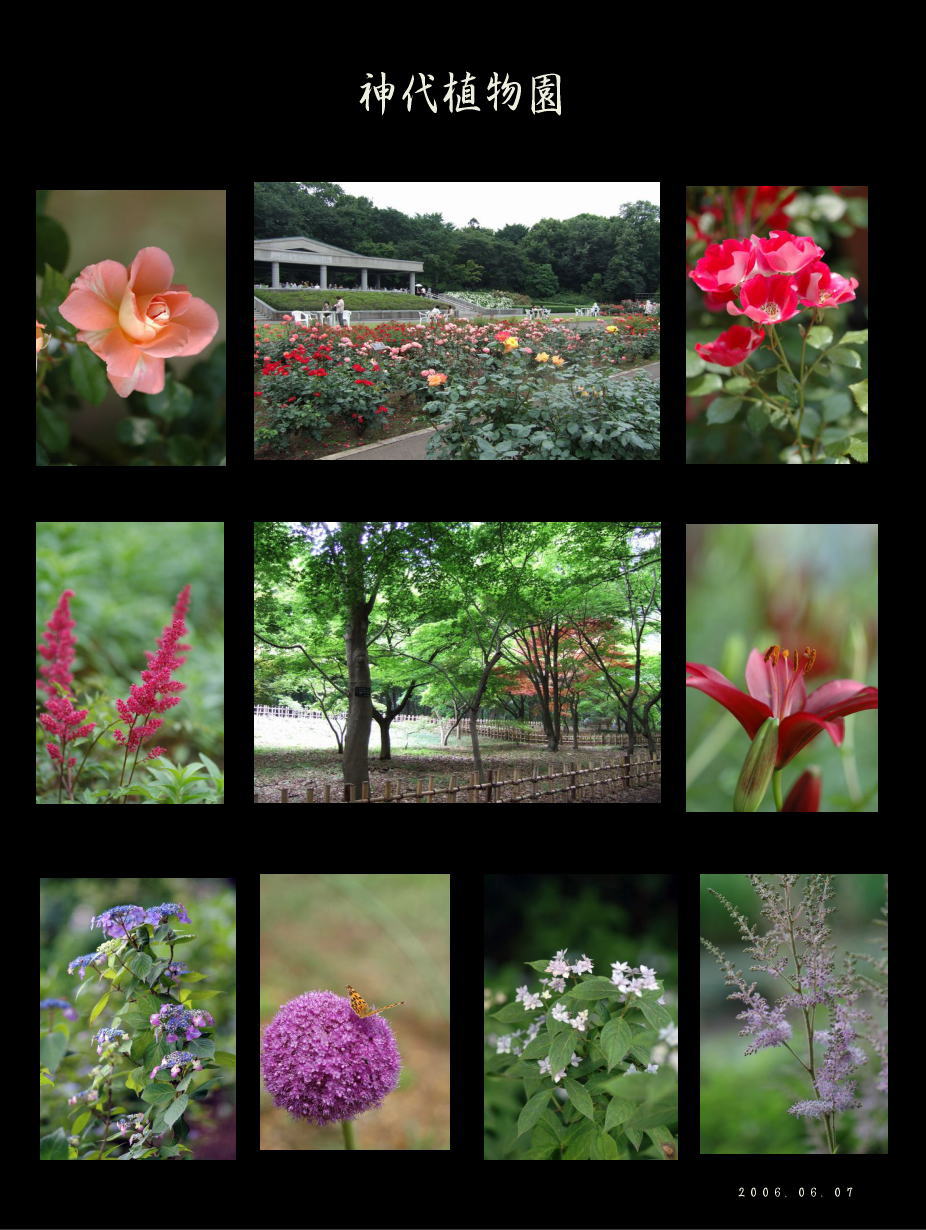 神代植物園＆井の頭公園_f0012718_1572571.jpg