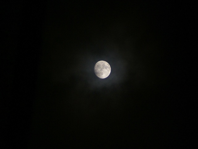 e0089232_21494144.jpg