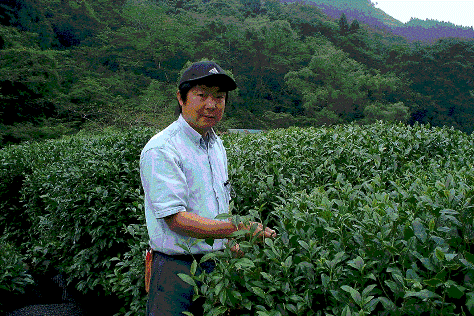 “国際化を先駆けたお茶の復活・新たな創造”江戸末期の茶部屋でお茶づくり_d0022550_8545421.gif