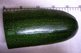 a0048852_95364.jpg