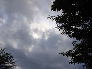 e0012580_235176.jpg