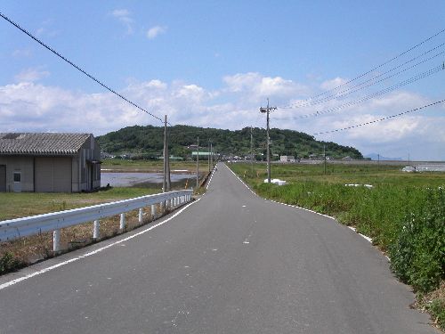 田舎道は最高 南国日記改め関西日記