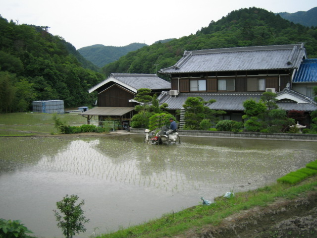 衝原湖マラニック_b0108100_20541516.jpg