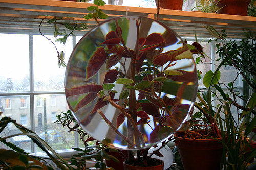 a0059032_18175777.jpg