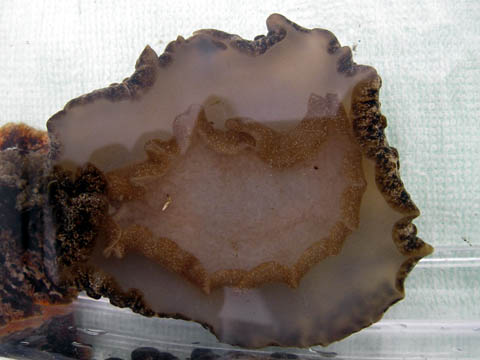 e0041143_22282787.jpg