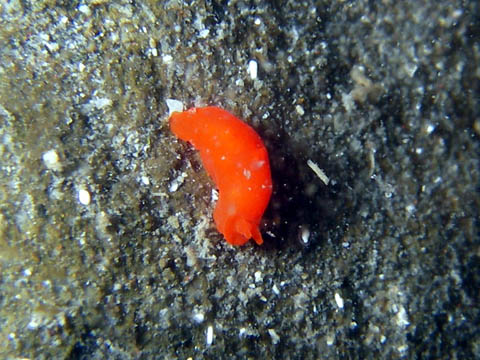 e0041143_2231647.jpg