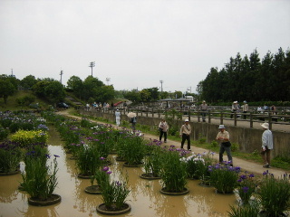 f0043559_2201112.jpg