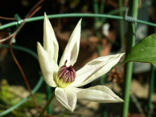 a0048790_13442397.jpg