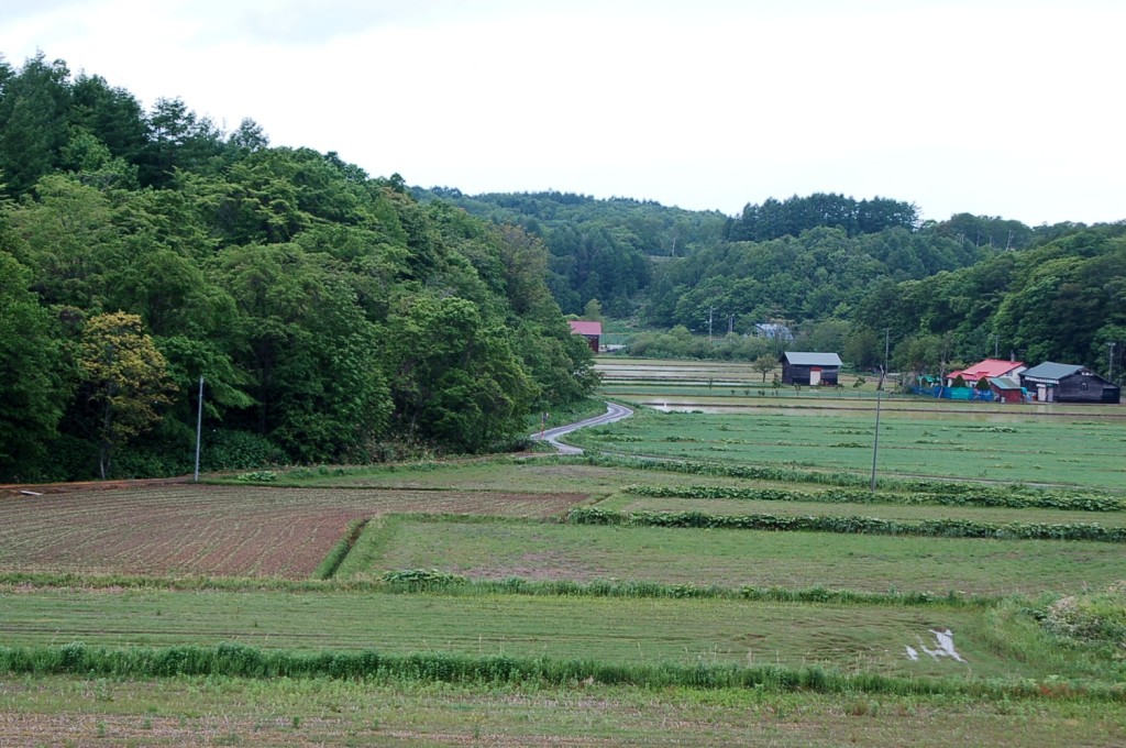 角山・五の沢池・高富貯水池_a0062697_1513411.jpg