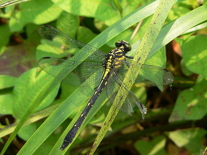e0002314_17404834.jpg