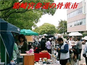 恵光院の菩提樹の花 箱崎宮参道の骨董市 親父の Hobby