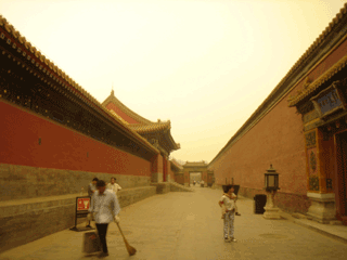 b0010831_11444016.gif