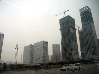b0010831_11451672.gif