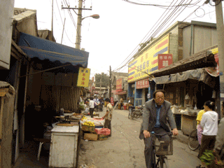 b0010831_11474923.gif