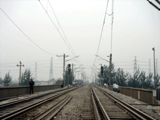 b0010831_11503541.gif
