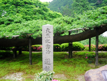 d0017632_21414796.jpg