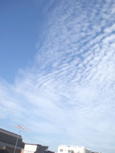 ＊すごく、いい顔＊　　2006,6,10　_a0030038_0284323.jpg