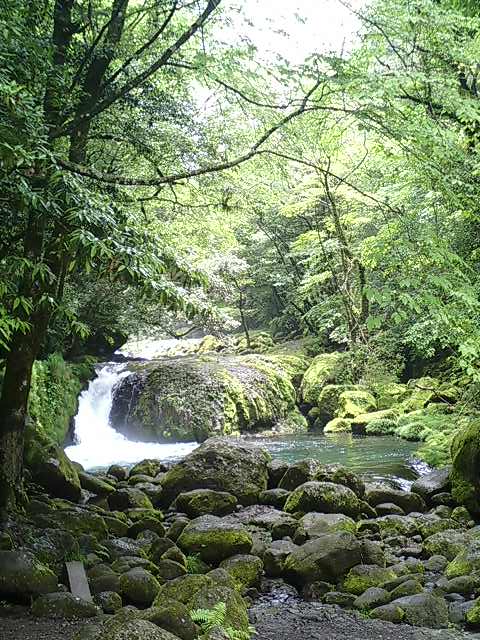 熊本旅行　6月9日分。_b0033247_165210.jpg