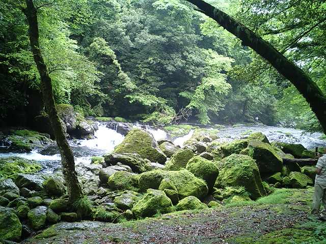 熊本旅行　6月9日分。_b0033247_171128.jpg