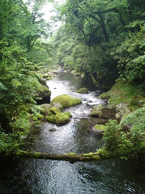 熊本旅行　6月9日分。_b0033247_172539.jpg