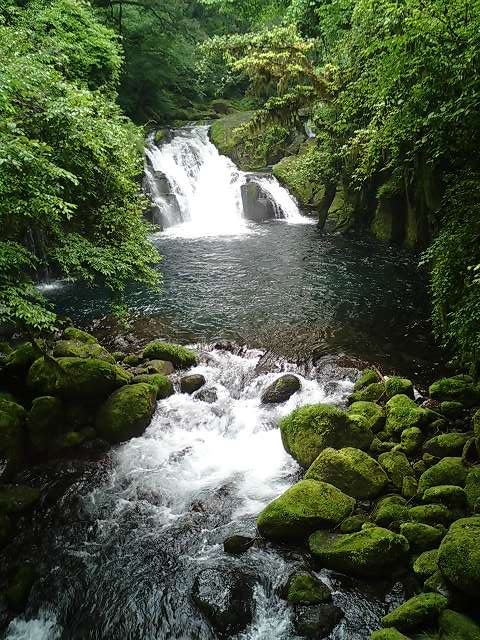 熊本旅行　6月9日分。_b0033247_173737.jpg