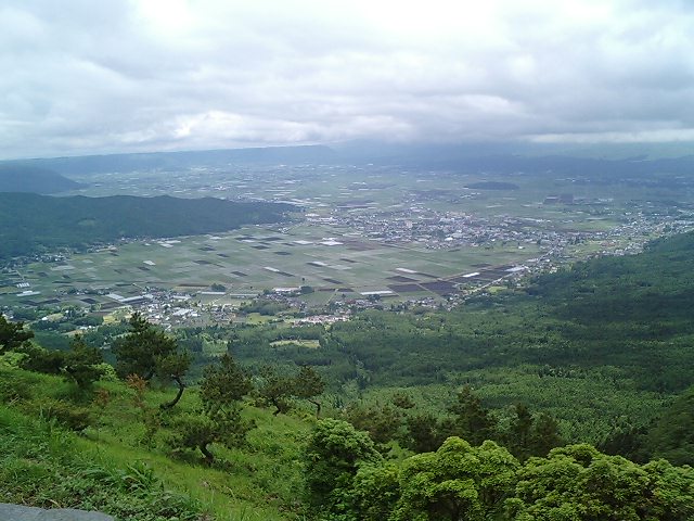 b0033247_175235.jpg