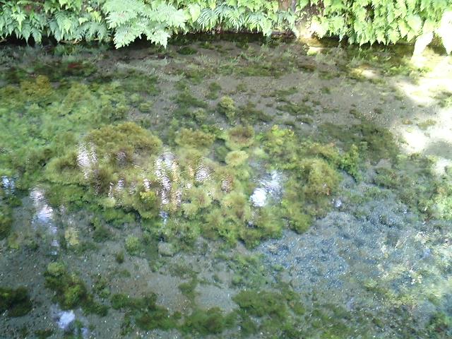 b0033247_185134.jpg