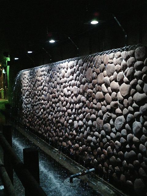 b0033247_192082.jpg