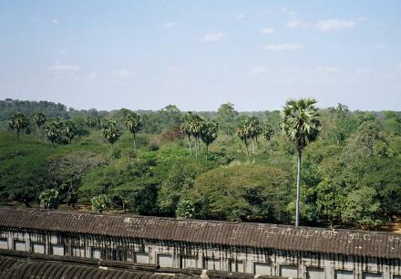 アンコール・ワット　3■石段を昇る_b0025850_1845486.jpg