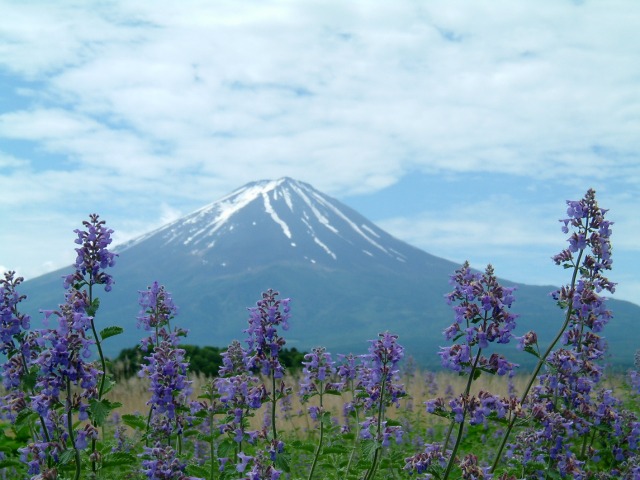 b0070657_16283748.jpg