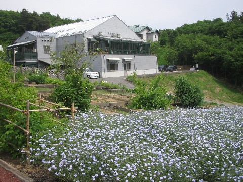 c0013687_1674018.jpg