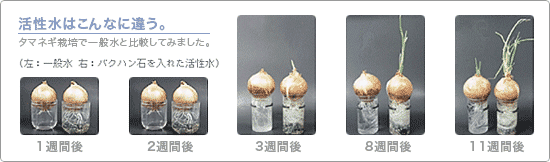 考える前に跳んでしまえ!_b0104005_10502023.gif