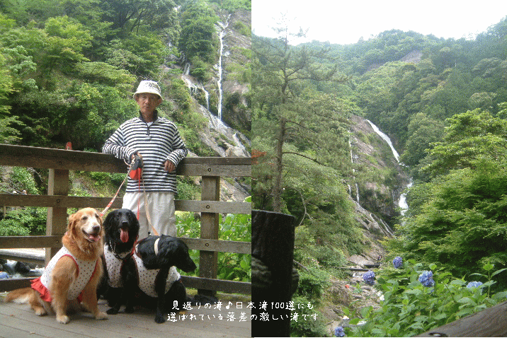 c0017311_1254129.gif