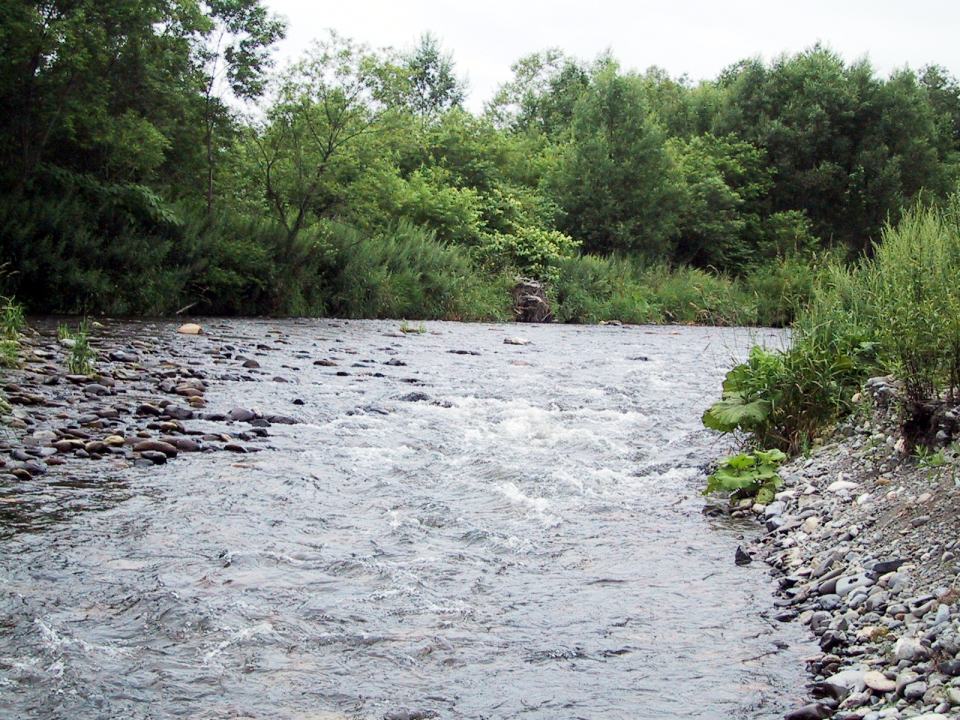 e0086526_11311894.jpg
