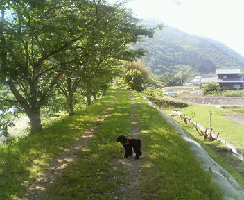 f0076529_18332841.jpg