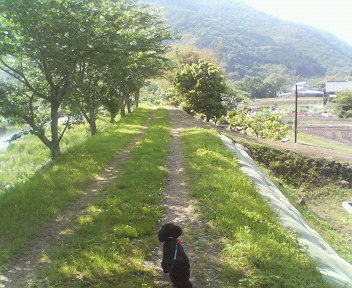 f0076529_18333954.jpg